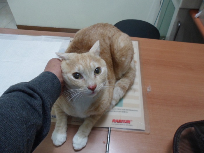 종료(기증) 한국 …