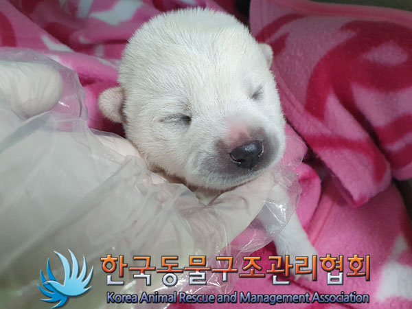 종료(자연사) 믹스…