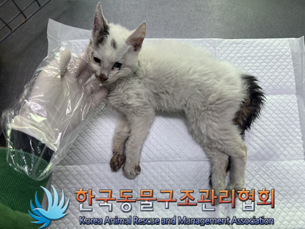 종료(자연사) 한국…