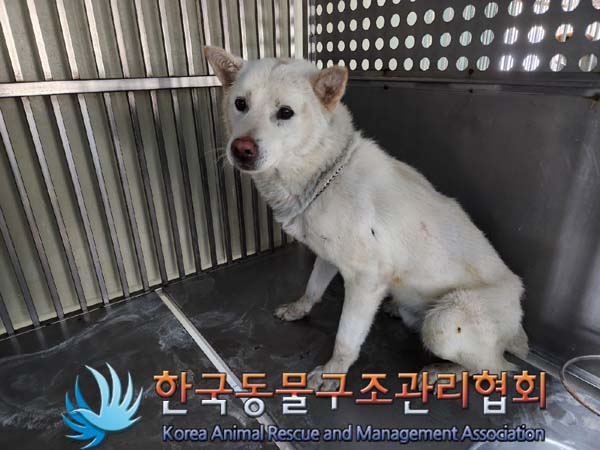 한국동물구조관리협회_441414202300978