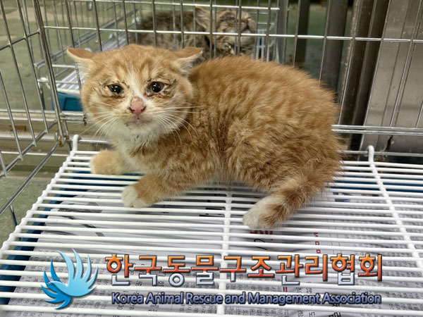 종료(자연사) 한국…