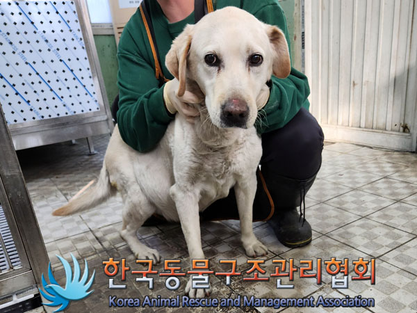 종료(반환) 라브라…
