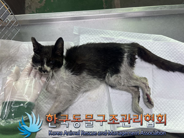 종료(자연사) 한국…