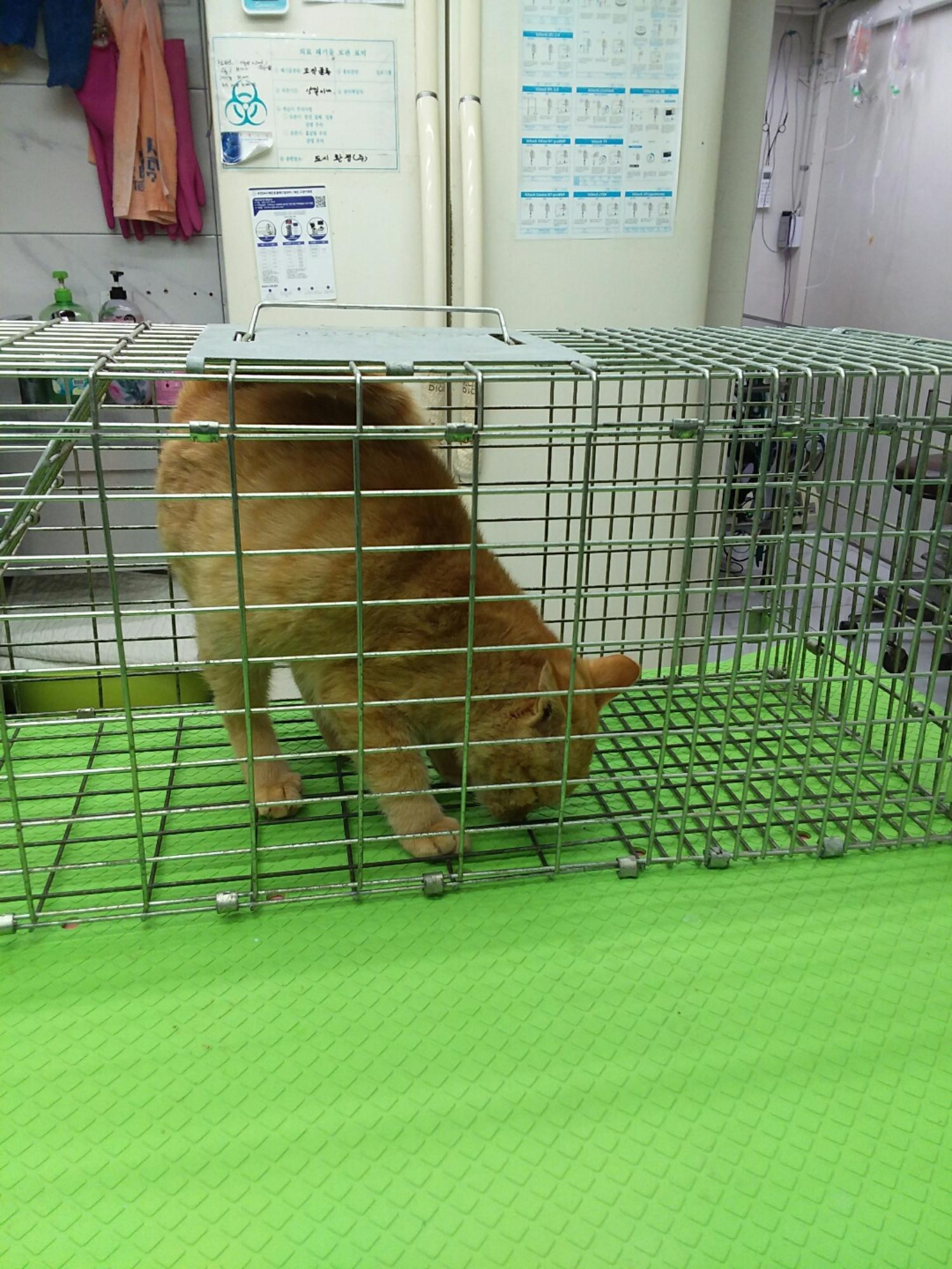 신공항동물병원_428349202301135
