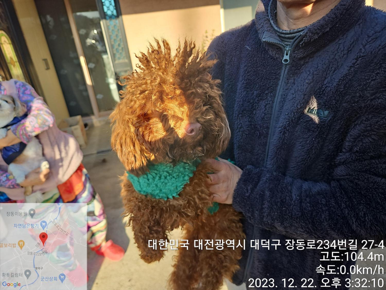 보호중 푸들의 가족…