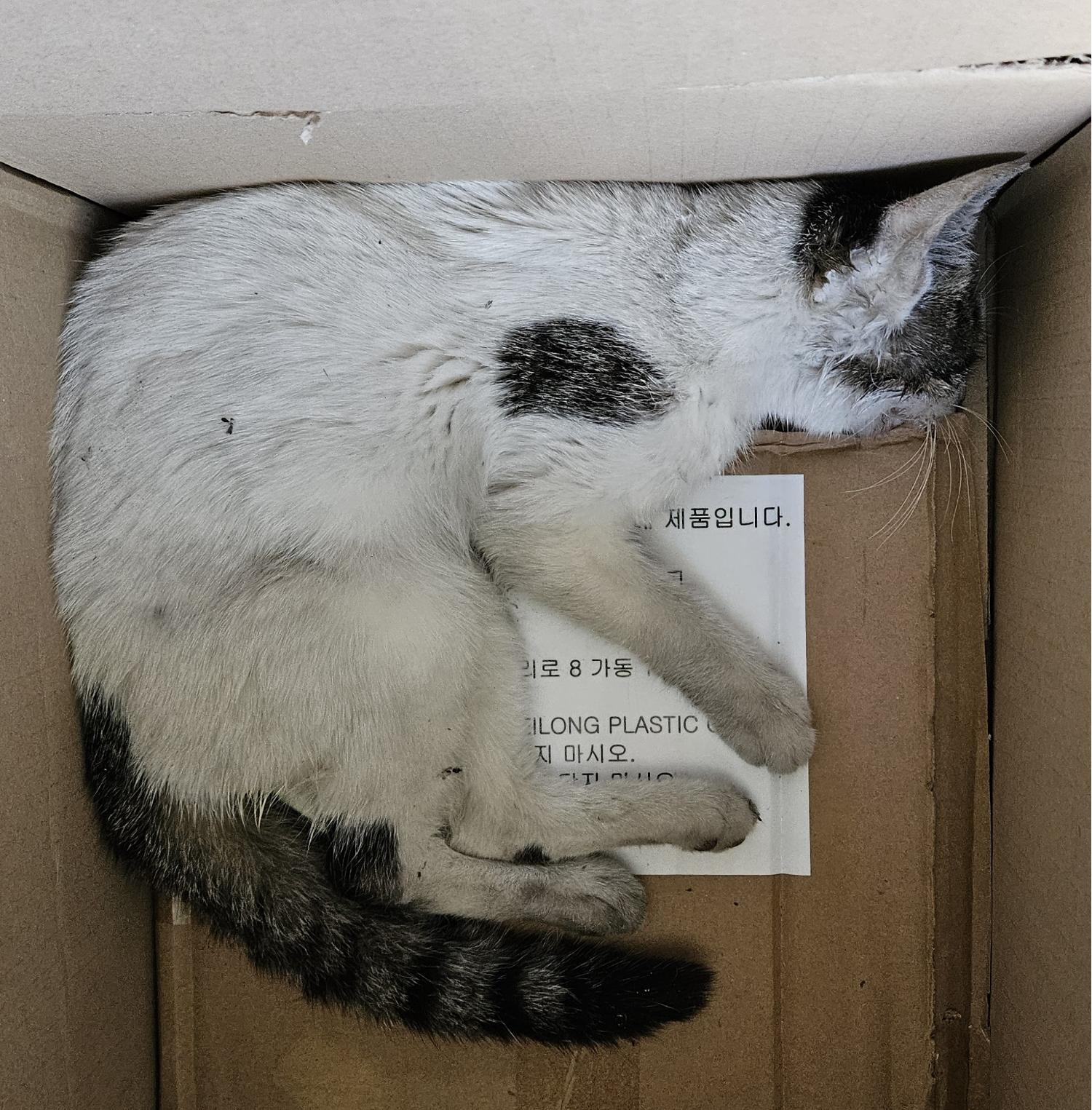 종료(자연사) 한국…