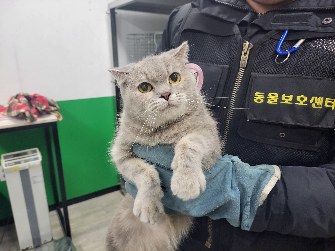 고양시동물보호센터_441394202302650