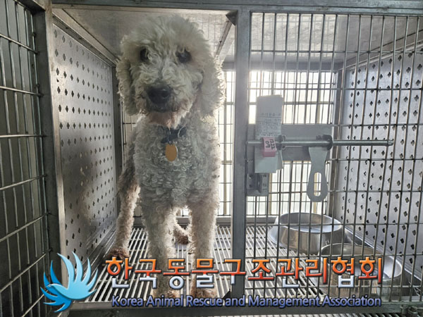 한국동물구조관리협회_411301202300717