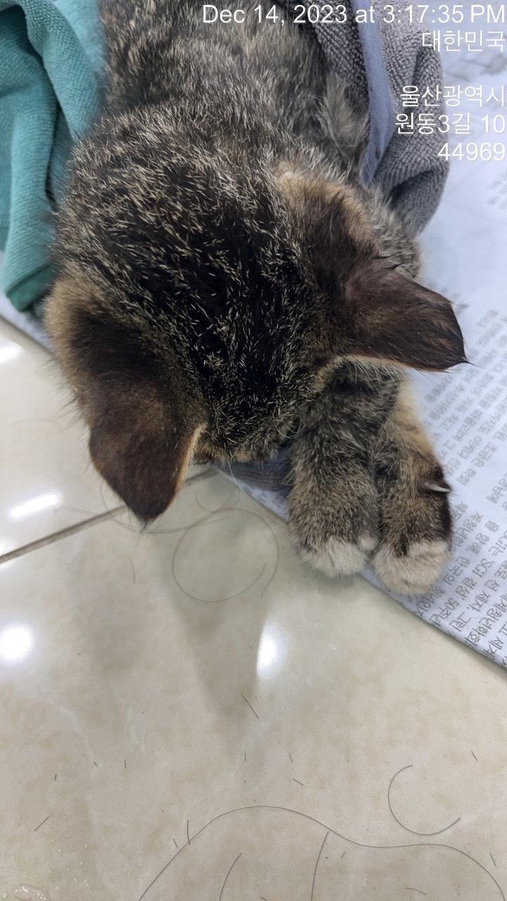 종료(자연사) 한국…