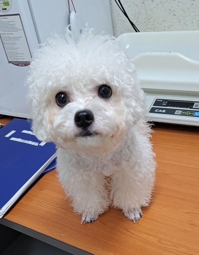 수원시 동물보호센터_441374202301564