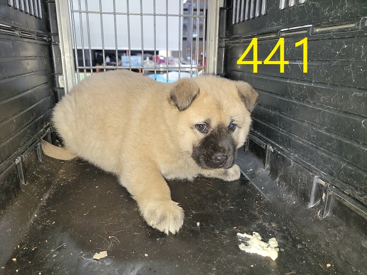신영재동물병원_428355202300756
