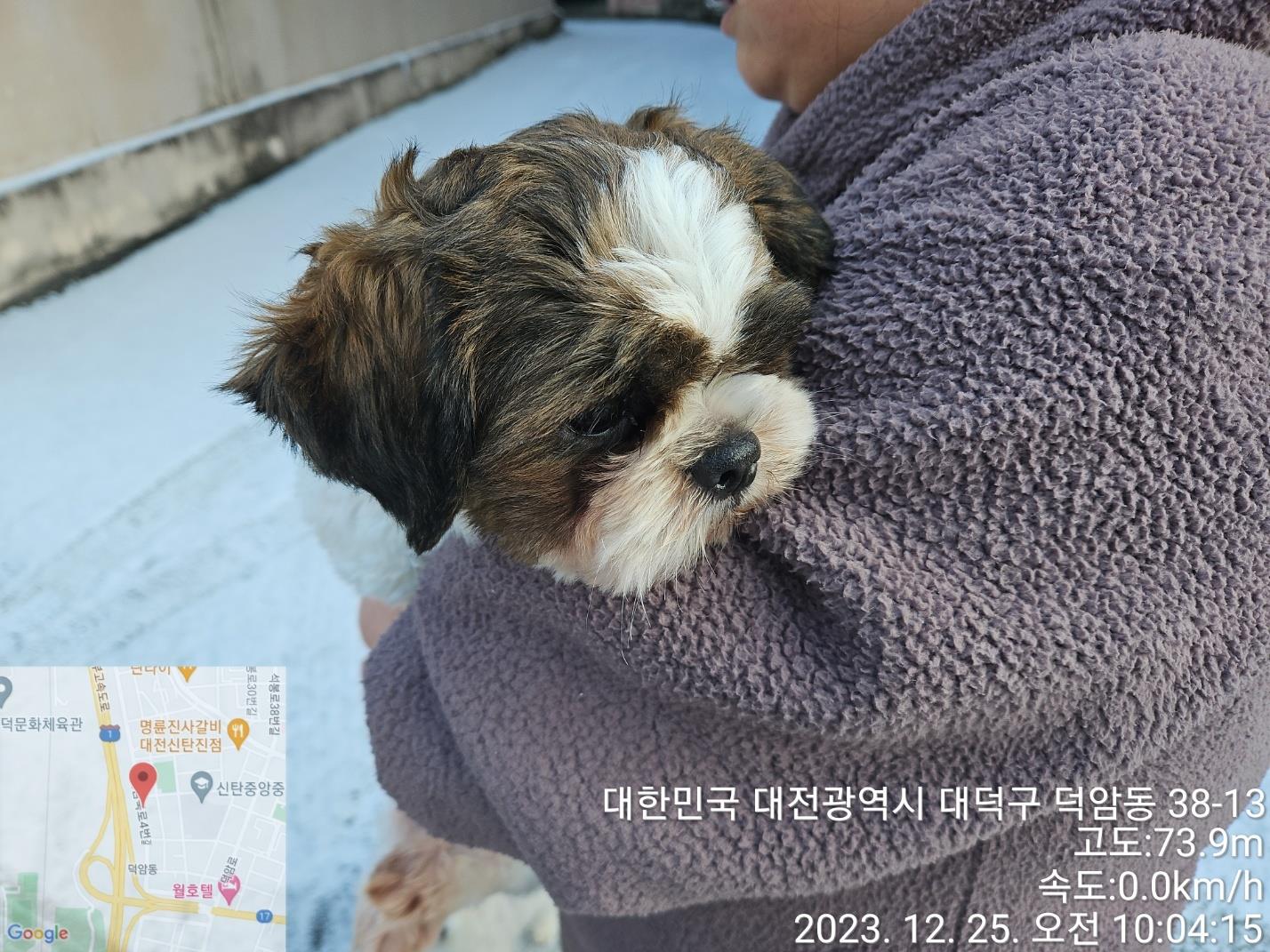 종료(반환) 시츄의…
