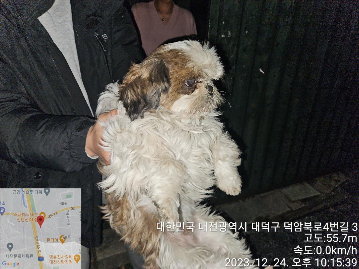 종료(반환) 시츄의…
