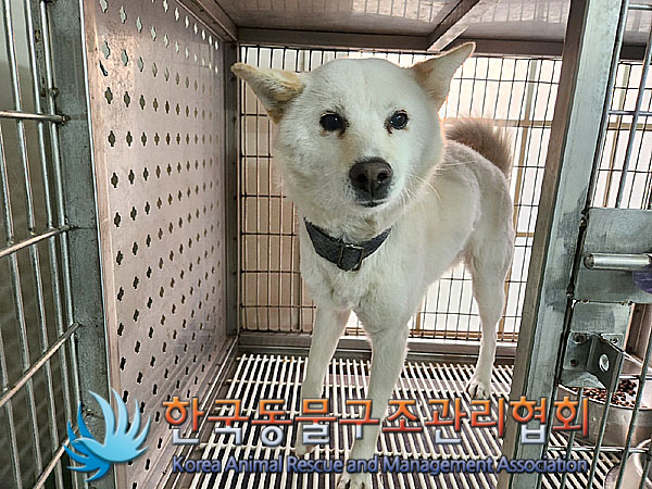 한국동물구조관리협회_411300202300537