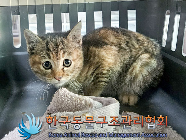 종료(자연사) 한국…