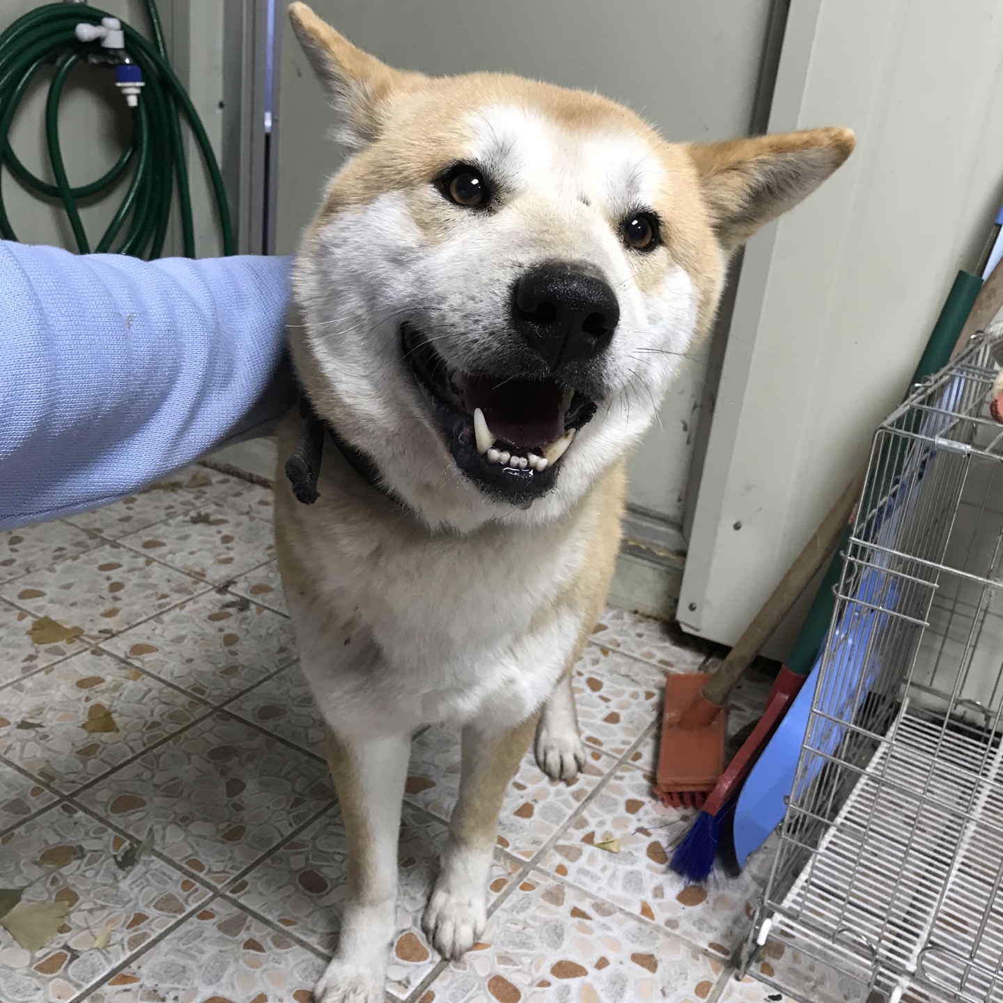 가나동물병원_441386202301841