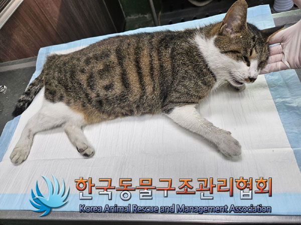 종료(자연사) 한국…