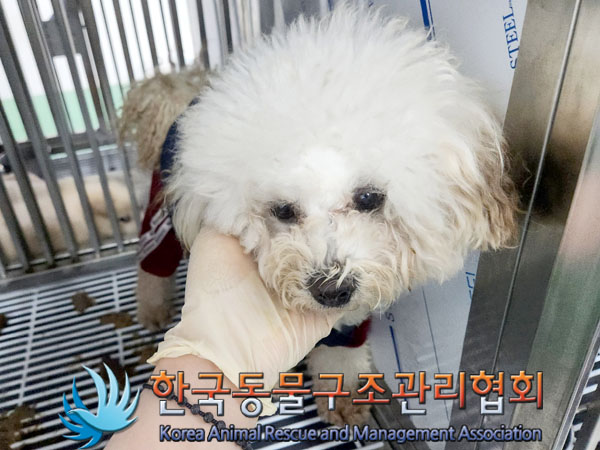 한국동물구조관리협회_441559202301394