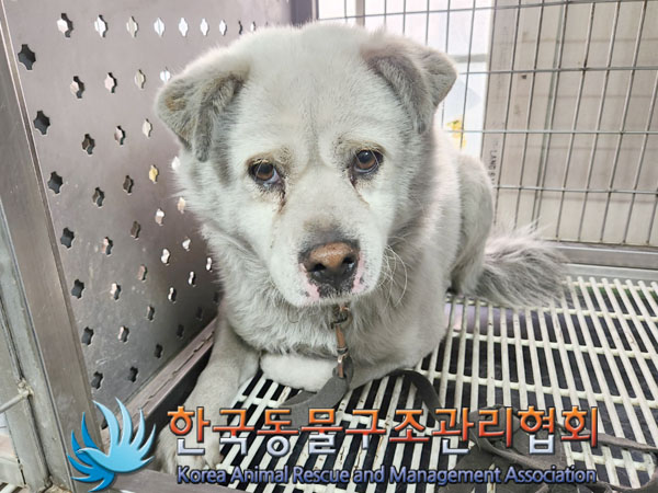 종료(안락사) 믹스…