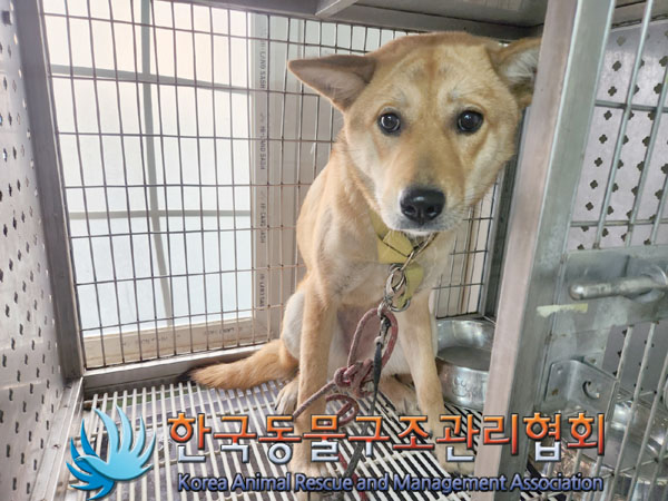 한국동물구조관리협회_411304202300877