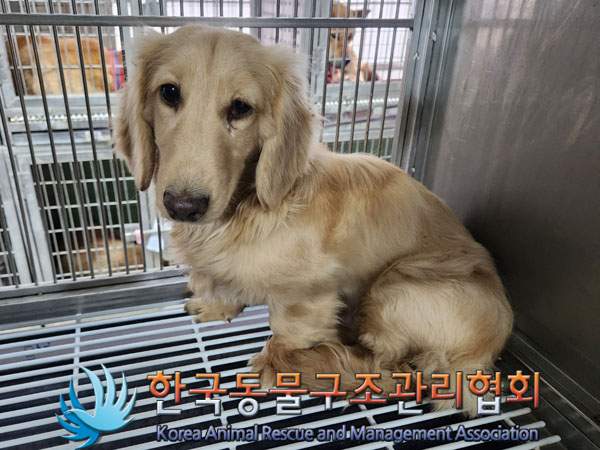 종료(반환) 닥스훈…