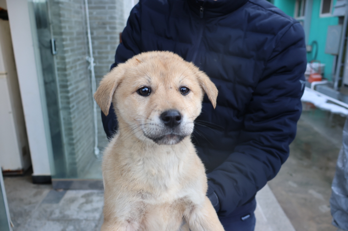 제주 동물보호센터_450650202304416