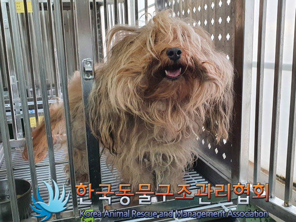 한국동물구조관리협회_411322202300919