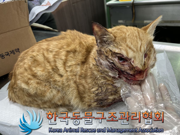 종료(자연사) 한국…