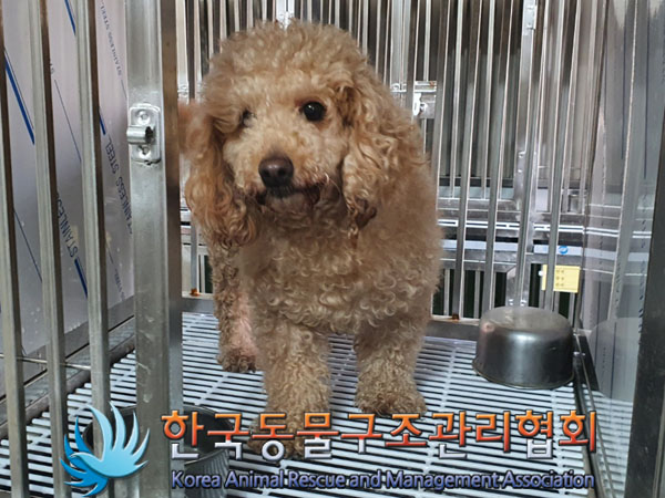 한국동물구조관리협회_411311202301010