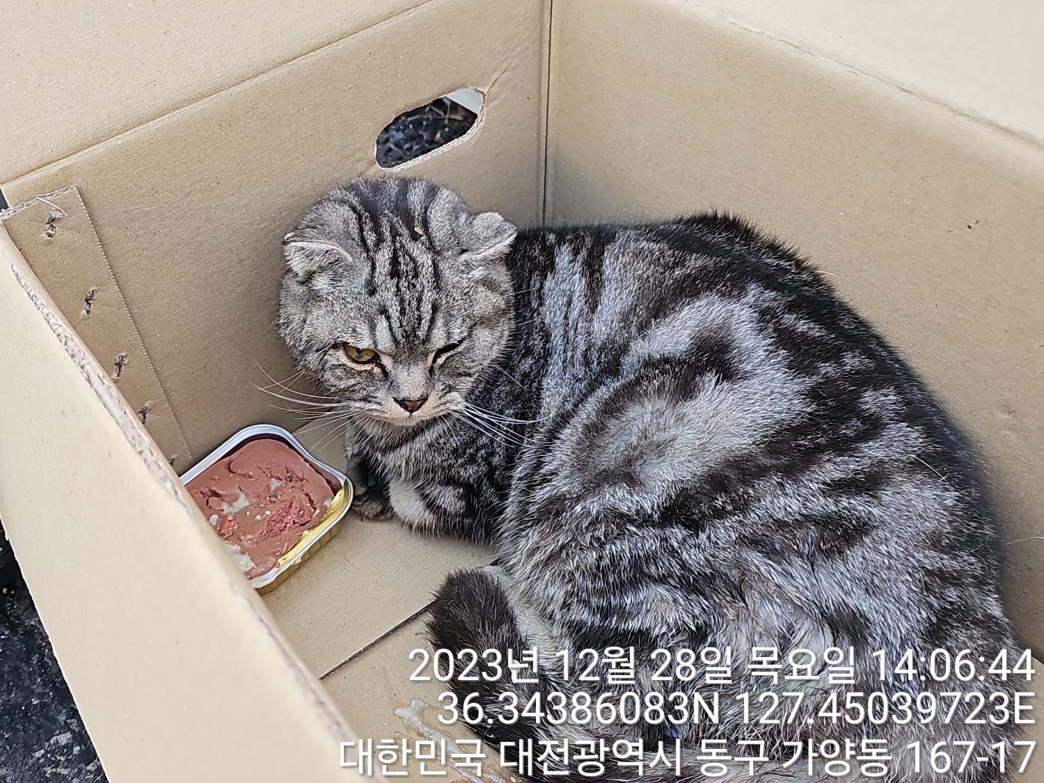 대전동물보호센터_430364202300613