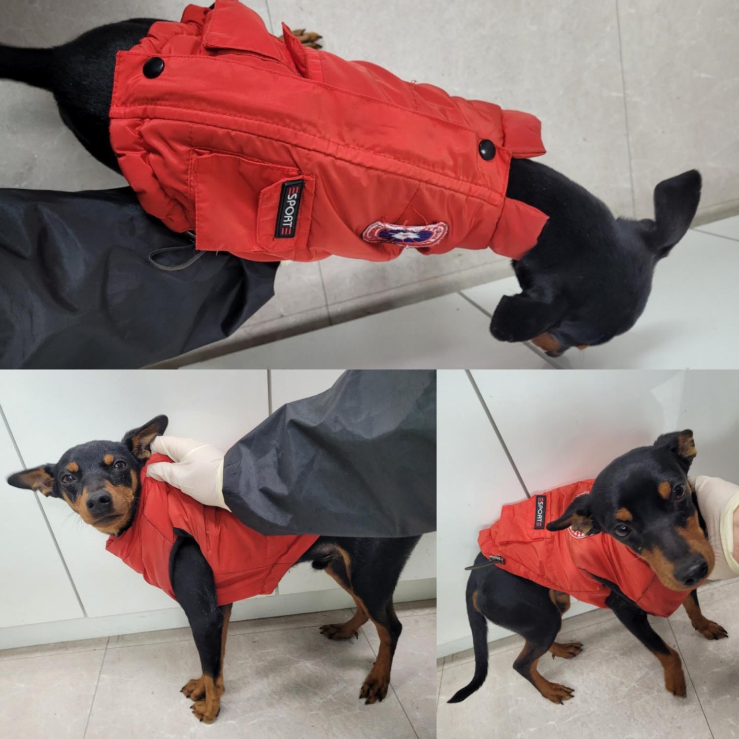 논산시 동물보호센터_444454202301028