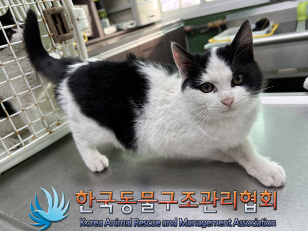 한국동물구조관리협회_441560202301980