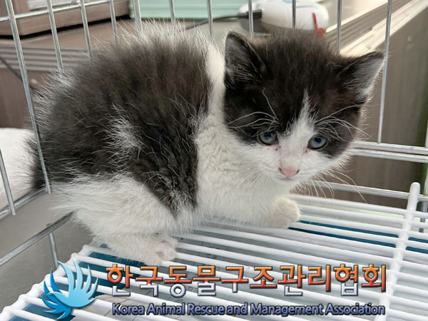 종료(자연사) 한국…
