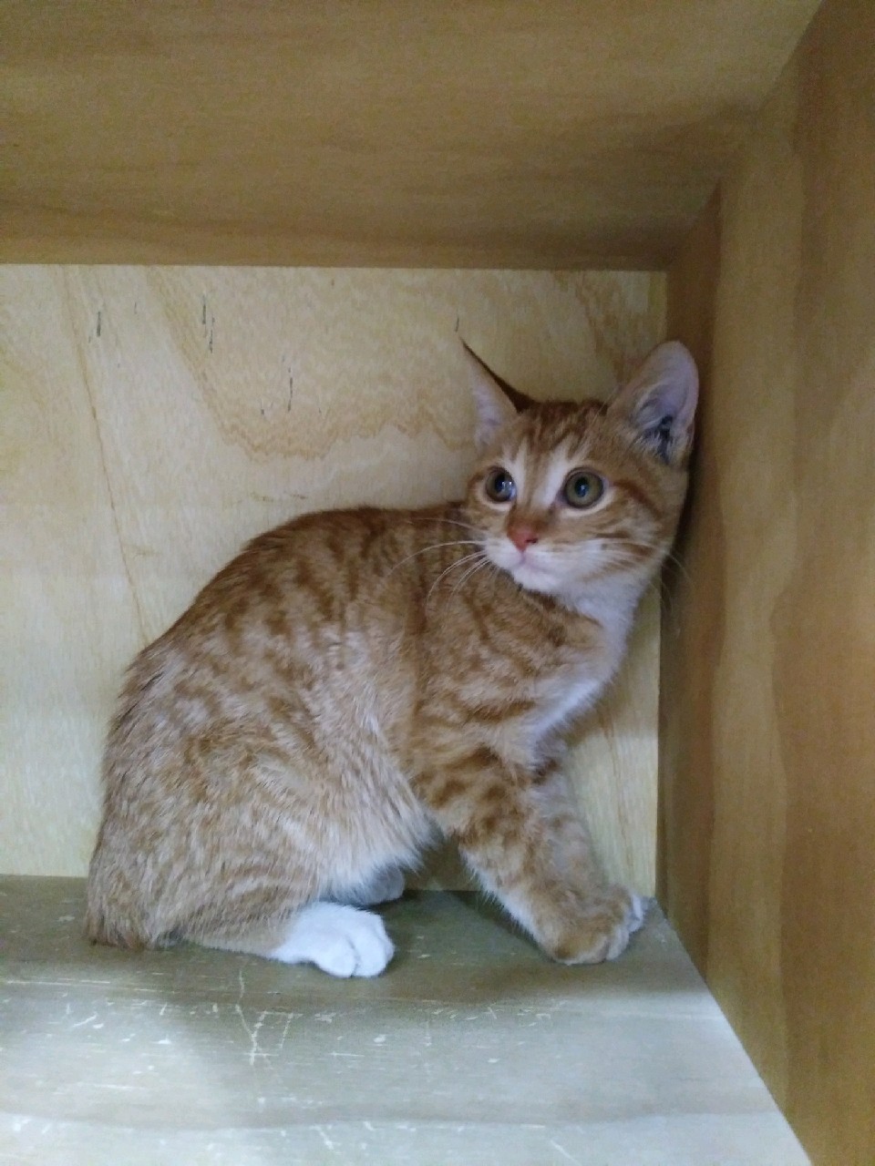 대구시수의사회(동산)_427341202300735