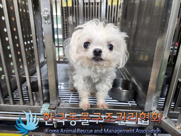한국동물구조관리협회_411306202300876