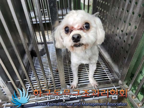 한국동물구조관리협회_411315202300791