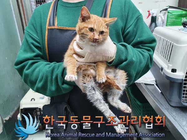 종료(자연사) 한국…