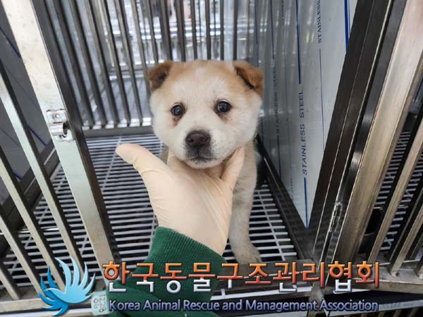 한국동물구조관리협회_441559202301407