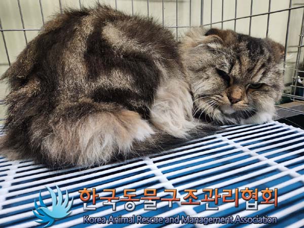 한국동물구조관리협회_411317202300428