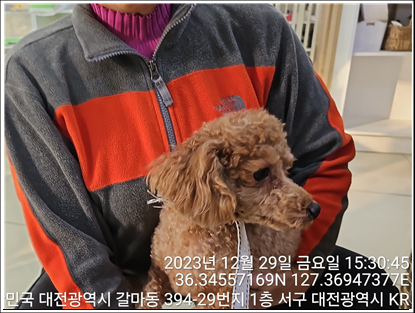 대전동물보호센터_430366202300920