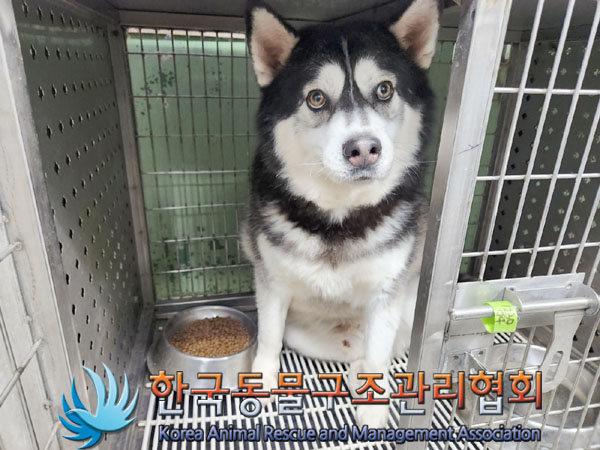 종료(반환) 시베리…