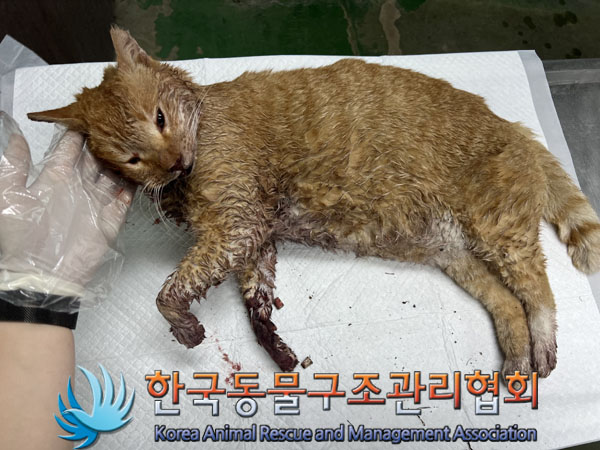 종료(자연사) 한국…