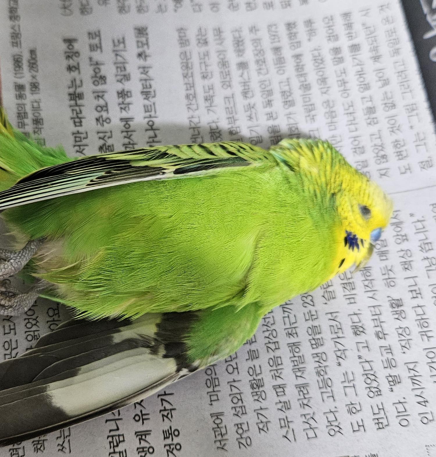 종료(자연사) 사랑…
