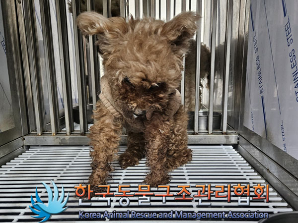 한국동물구조관리협회_441382202400002