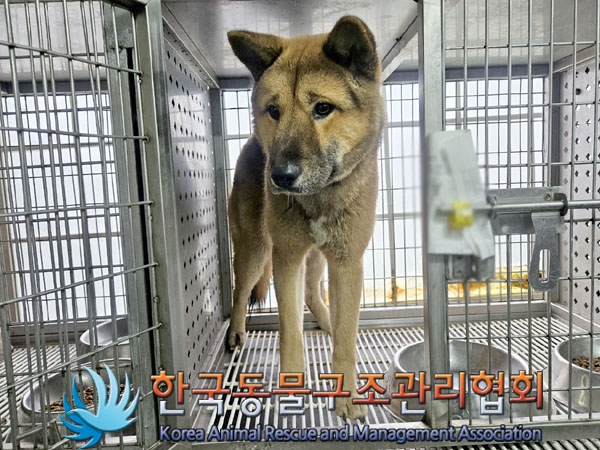 종료(자연사) 믹스…