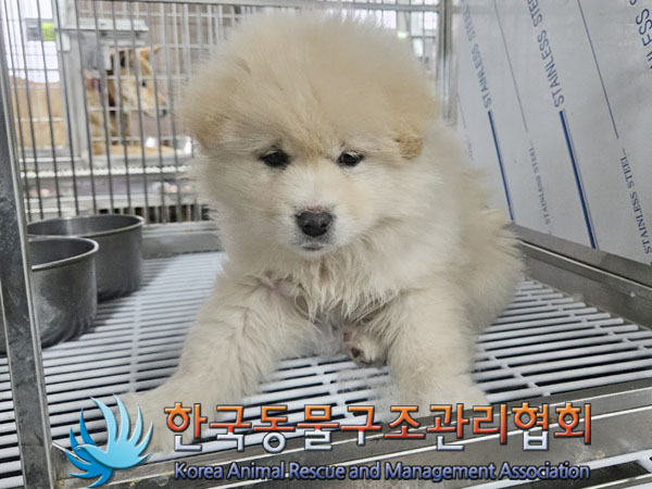 한국동물구조관리협회_441560202400004