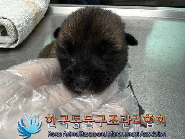 종료(자연사) 믹스…