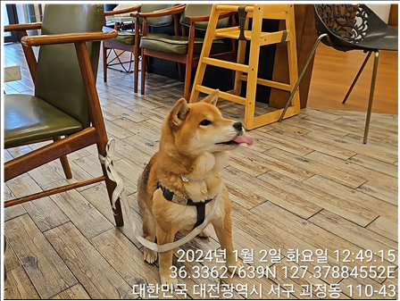 대전동물보호센터_430366202400002