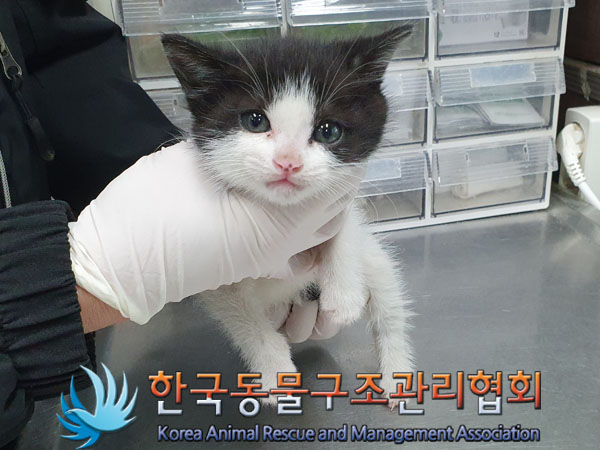 종료(자연사) 한국…