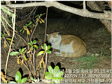 대전동물보호센터_430366202400003